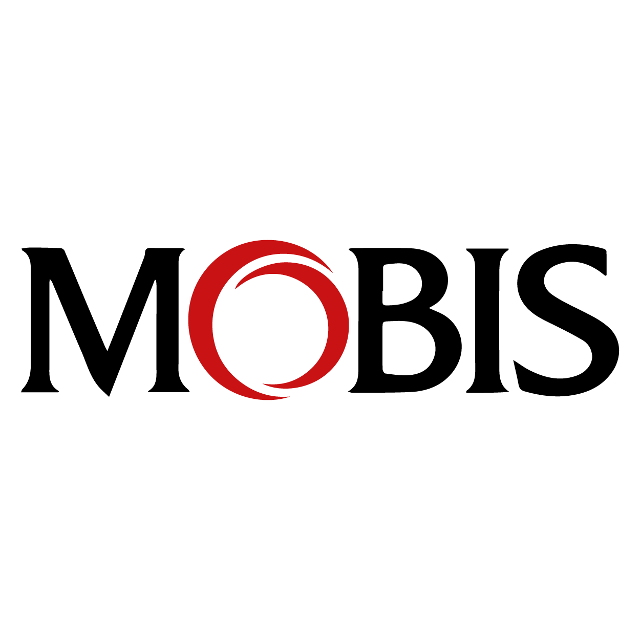 Partner Logo 1
