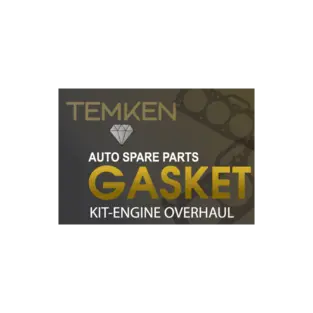 TEMKEN GASKET logo